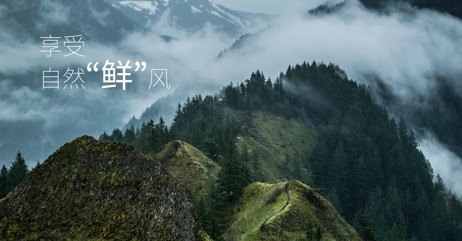 颯多大的、爽.jpg